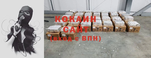 прущие грибы Магас