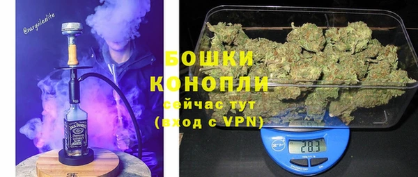 ГАЛЛЮЦИНОГЕННЫЕ ГРИБЫ Медногорск